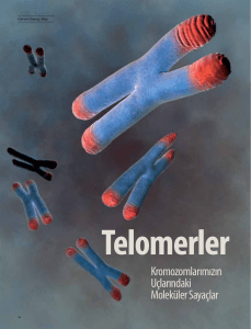 Telomerler (Pdf.)