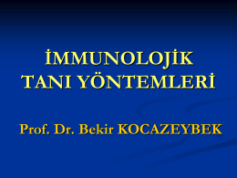 D. I. Fonksiyonin Küçük. Oyunun özeti 81