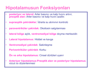 Limbik sistem - İstanbul Tıp Fakültesi