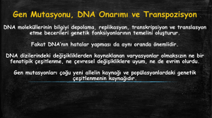 Gen Mutasyonu, DNA Onarımı ve Transpozisyon