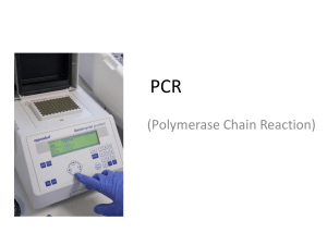 PCR - ahmetmavi