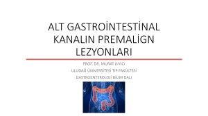 alt gastrointestinal kanalın premalign lezyonları