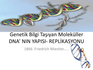 genetik bilgi taşıyan moleküller DNA ve RNA