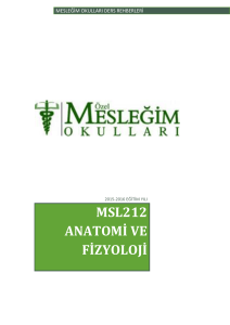 MSL212 Anatomi ve Fizyoloji