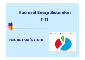 Hücresel Enerji Sistemleri I-II