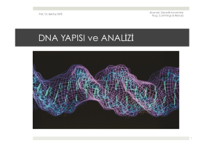 10. DNA Yapısı ve Analizi.pptx