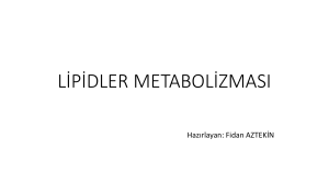 lipidler metabolizması