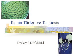 Taenia Türleri ve Taeniosis