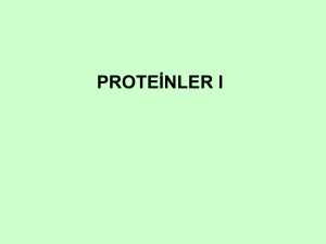 PROTEİNLER I Proteinler