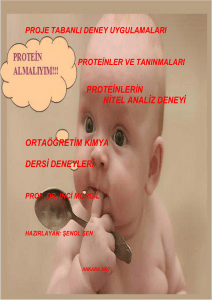 Proteinler