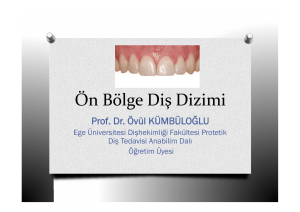 Ön Bölge Diş Dizimi - Ege Üniversitesi Diş Hekimliği Fakültesi