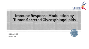 Immune Response Modulation by Tumor