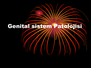 Genital sistem Patolojisi