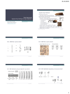 Temel Matematik Sayıların Kısa Tarihçesi ve Sayı Sistemleri