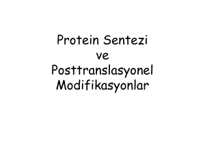 10. Protein Sentezi ve Posttranslasyonel Modifikasyonlar