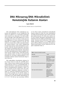 DNA Mikroarray