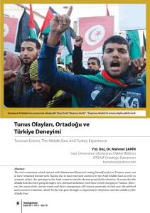 Tunus Olayları, Ortadoğu ve Türkiye Deneyimi