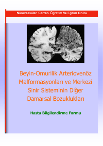 Beyin-Omurilik Arteriovenöz Malformasyonları ve Merkezi Sinir