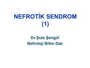 Nefrotik Sendrom - Nefroloji Bilim Dalı