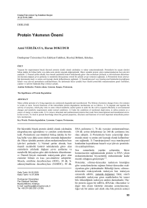 Protein Yıkımının Önemi - Uludağ Üniversitesi Tıp Fakültesi Dergisi