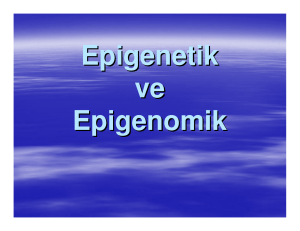 Epigenetik ve Epigenomik
