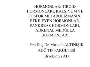 hormonlar - mustafaaltinisik.org.uk