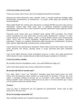 ABDliler kuşkulu: F-35lerin görünmezlik özelliği S-300ler karşısında işe yarıyor mu 61