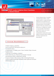 PACE Yazılım Geliştirme Süreci Tanımlama ve Kontrol Sistemi