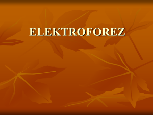 elektroforez