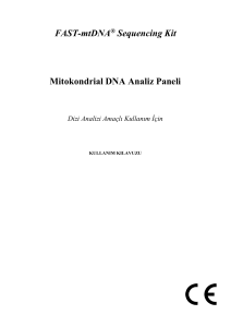 FAST-mtDNA Sequencing Kit Mitokondrial DNA Analiz Paneli