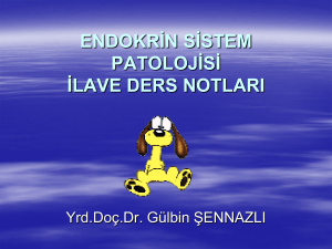endokrin sistem patolojisi ilave ders notları