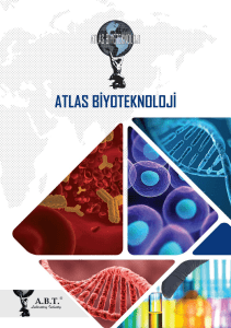 hücre biy olo jisi - Atlas Biyoteknoloji