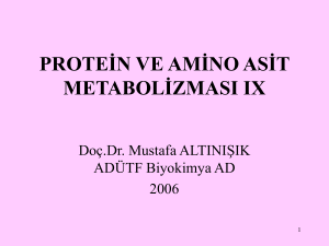Amino asitlerin önemli fonksiyonları: Histidin
