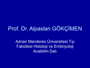Slayt 1 - Adnan Menderes Üniversitesi
