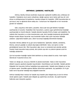 Harika Bir Saç Modeli Yapımı 67