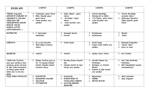 4. Ay programı için tıklayınız