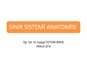 sinir sistemi anatomisi - Ankara Üniversitesi Açık Ders Malzemeleri