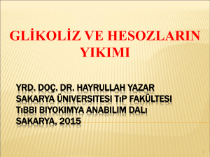 Glikoliz - SABİS - Sakarya Üniversitesi
