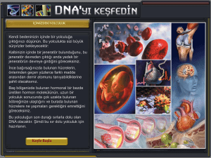 DNA - Fenci gen