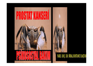 prostat kanseri - psikososyal bakım