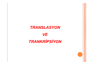 Microsoft PowerPoint - TRANSLASYON VE TRANKR*PS*YON