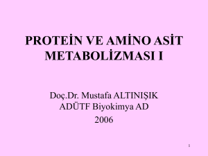 protein ve amino asit metabolizması ı