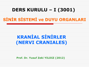 3001-Anatomi-Kranial-Sinirler-DersPPT-09-10