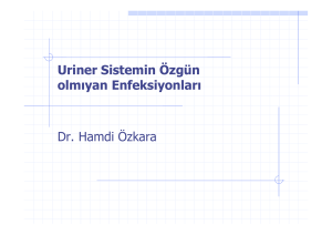 Uriner Sistemin Özgün olmıyan Enfeksiyonları Dr. Hamdi Özkara