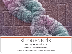 sitogenetik - Erzurum Teknik Üniversitesi