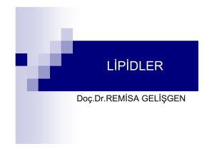 Lipidler303.68 KB