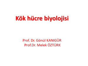 K  K H  CRE 2012ORTAK268.94 KB