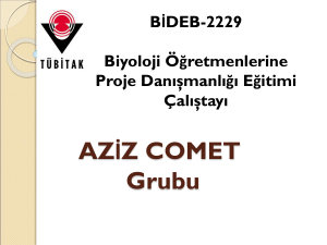 AZİZ COMET Grubu - Proje Danışmanlığı