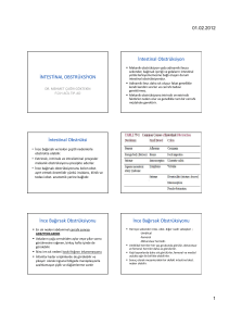 İntestinal Obstrüksiyon