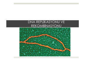 11. DNA`nın Replikasyonu ve Rekombinasyonu.pptx
